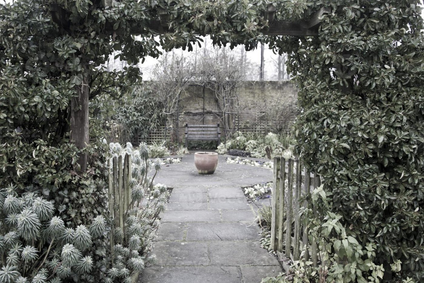 Jardin inviern