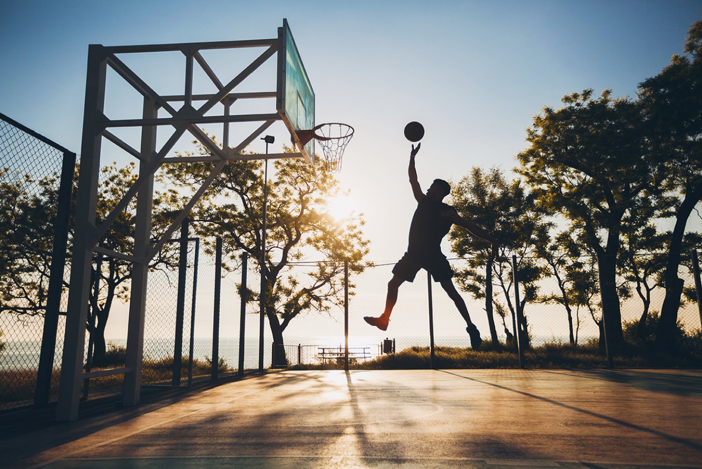 basket