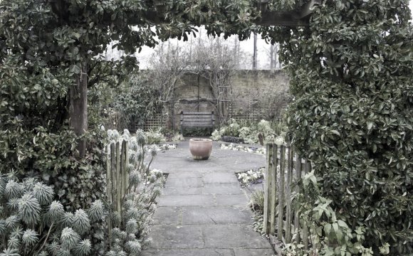 Jardin inviern