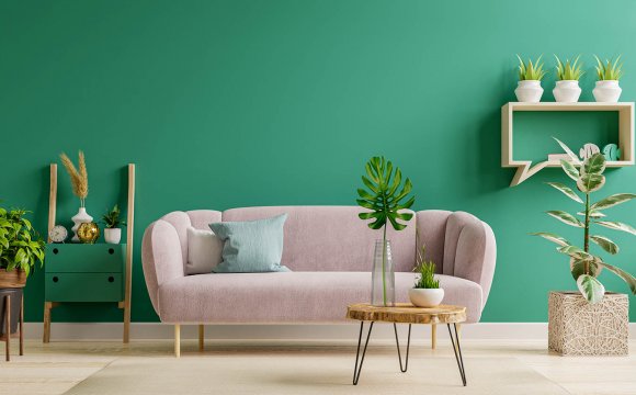 decoracion